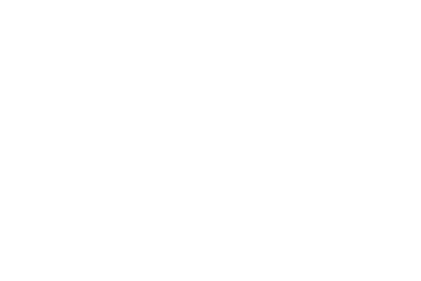 Alpinestars